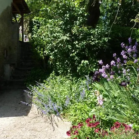 Grande Maison Renovee Avec Jardin Clos, Ideale Pour Familles Et Amis, Equipements Varies, Animaux Acceptes - Fr-1-489-50